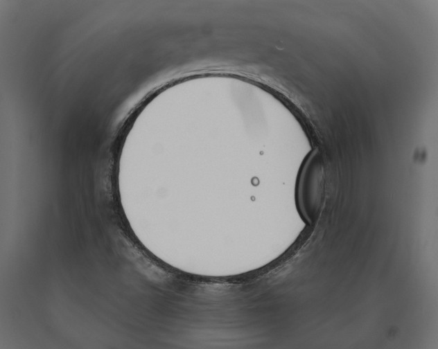 X0000090421502200708031054