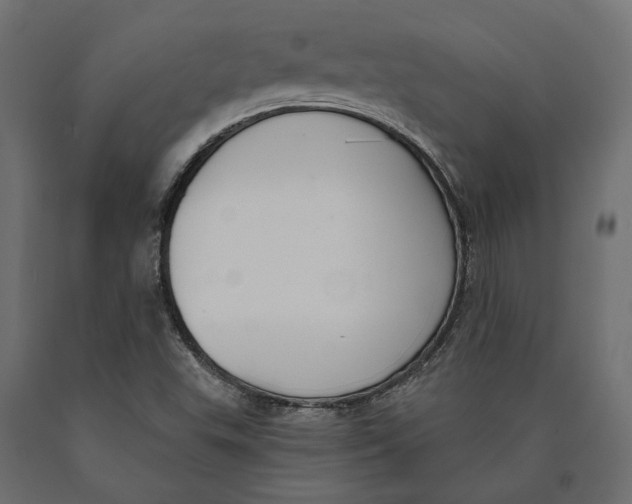 X0000090421503200708031054