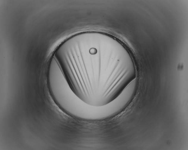 X0000090421504200708031054