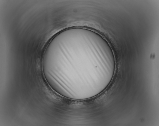 X0000090421505200708031054