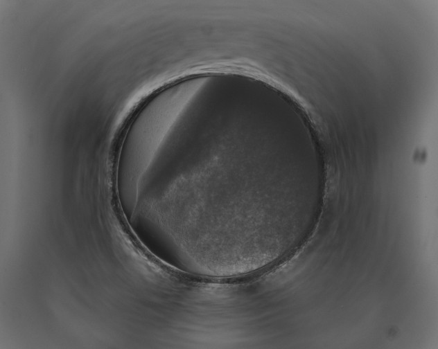 X0000090421506200708031054