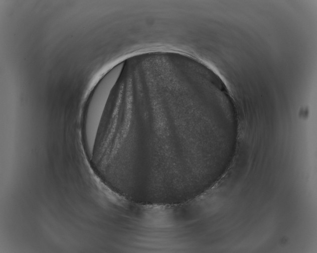 X0000090421508200708031054