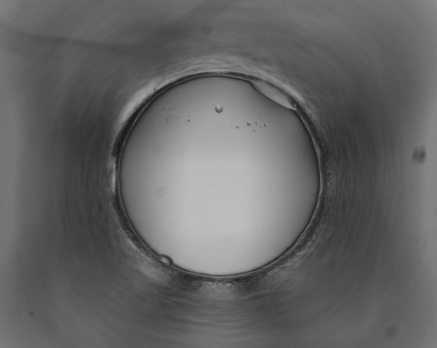 X0000090421509200708031054