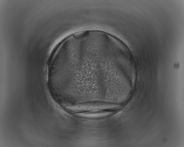 X0000090421510200708031054