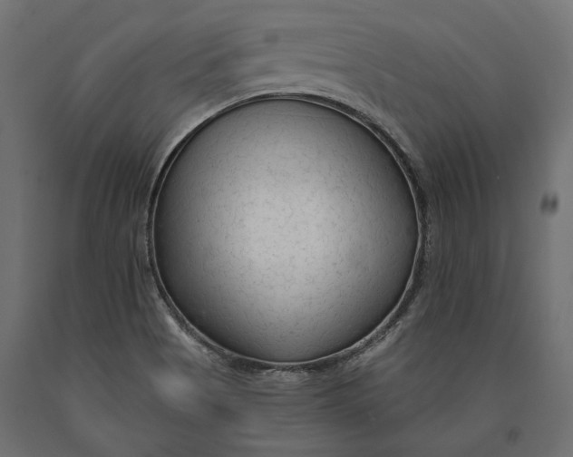 X0000090421513200708031054