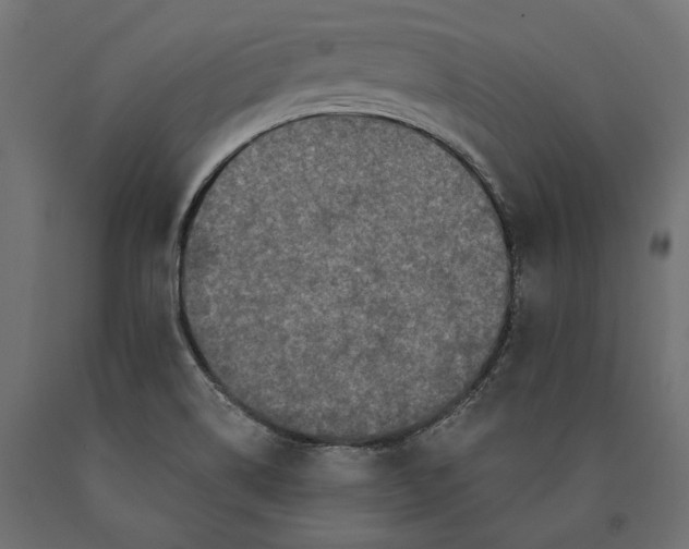 X0000090421514200708031054