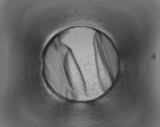 X0000090421515200708031054