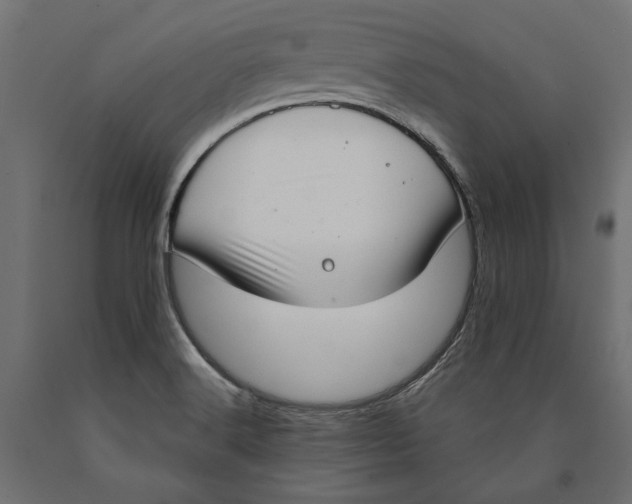 X0000090421516200708031054