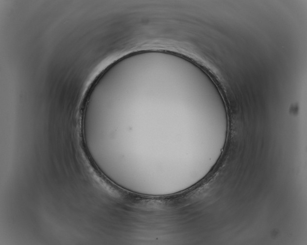 X0000090421517200708031054