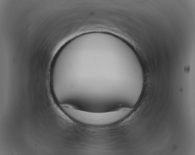 X0000090421518200708031054