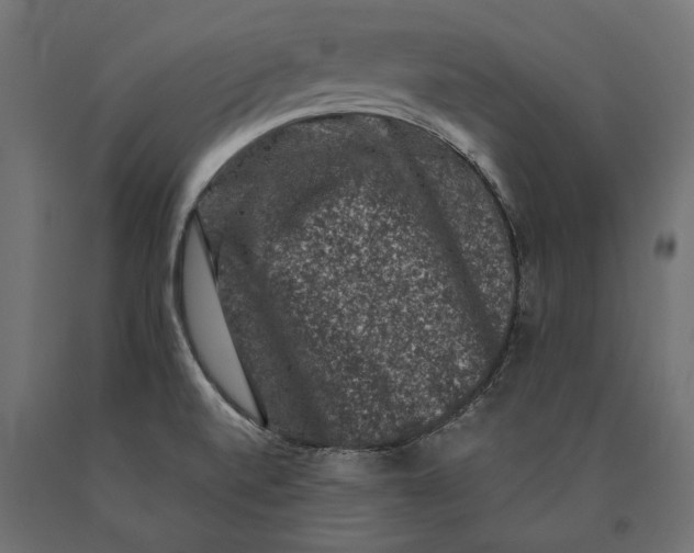 X0000090421520200708031054