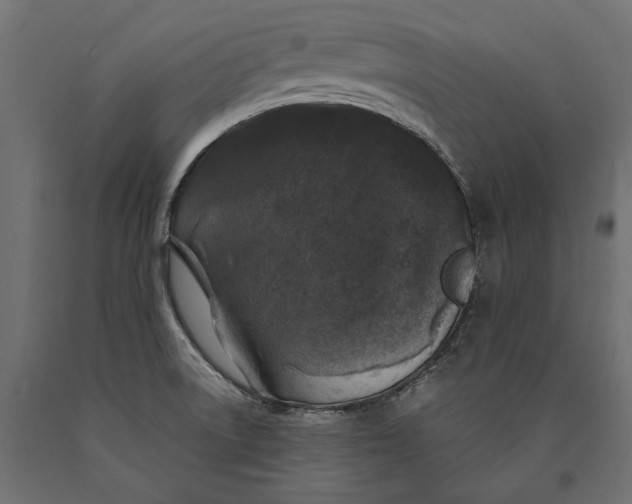 X0000090421522200708031054