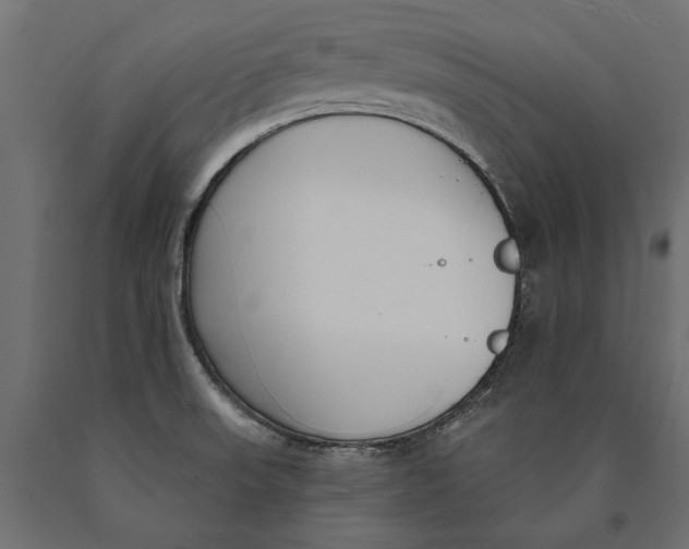 X0000090421523200708031054