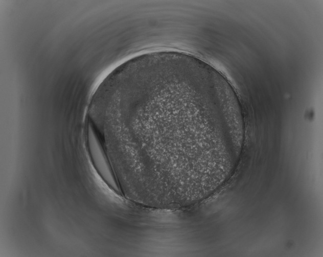 X0000090421524200708031054