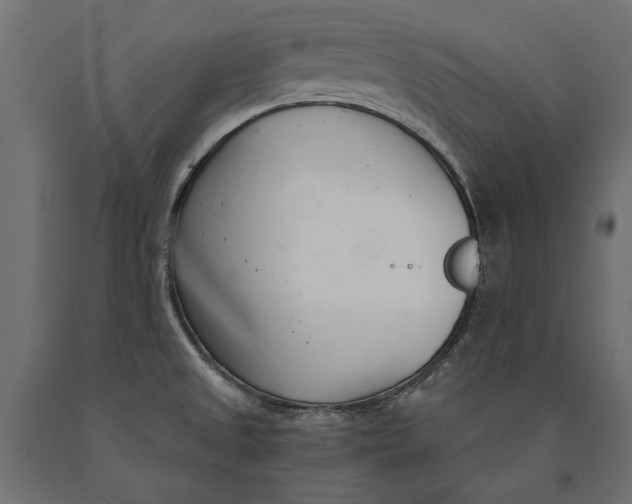 X0000090421525200708031054