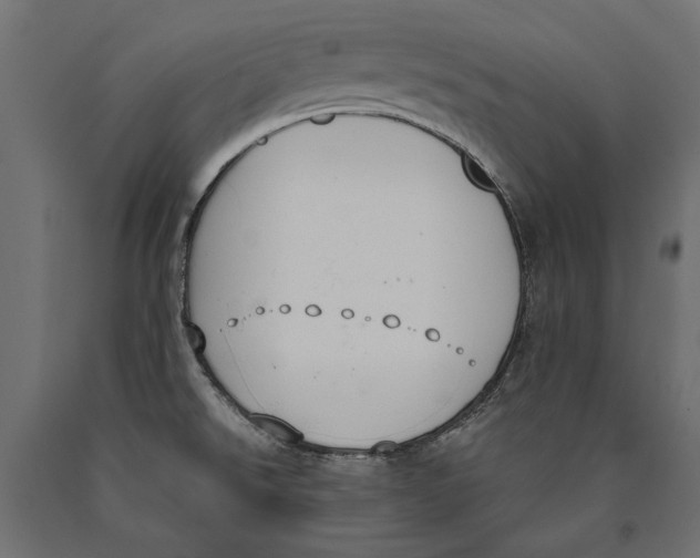 X0000090421526200708031054