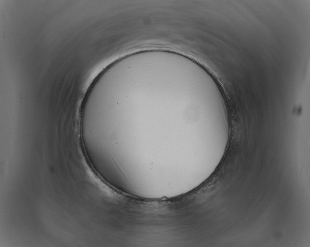 X0000090421527200708031054