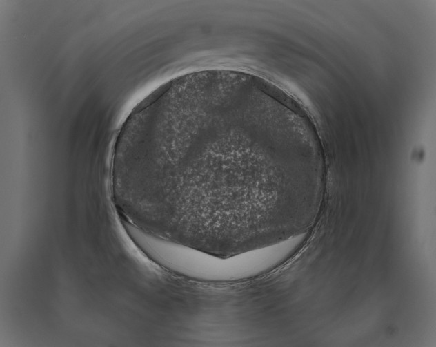 X0000090421528200708031054