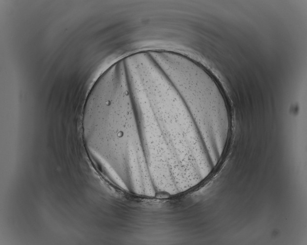 X0000090421529200708031054