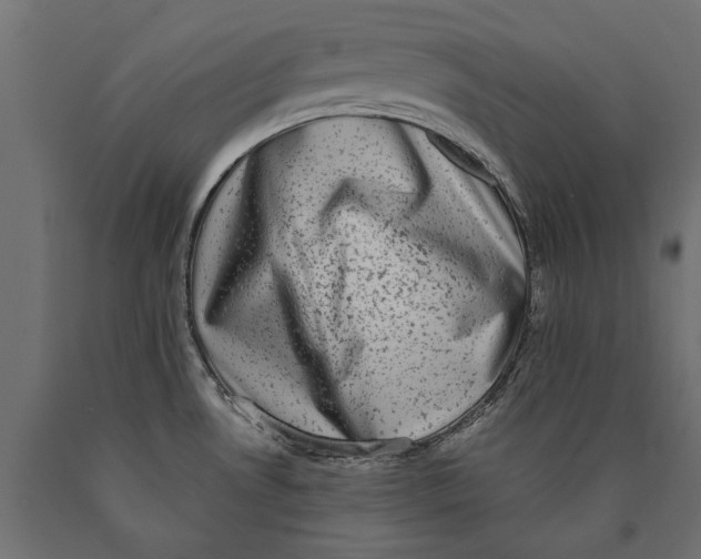 X0000090421530200708031054