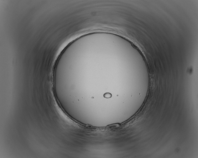 X0000090421531200708031054