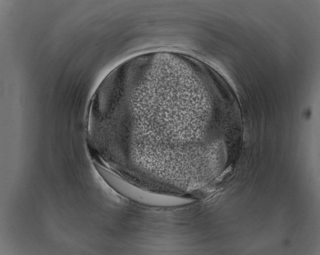 X0000090421532200708031054