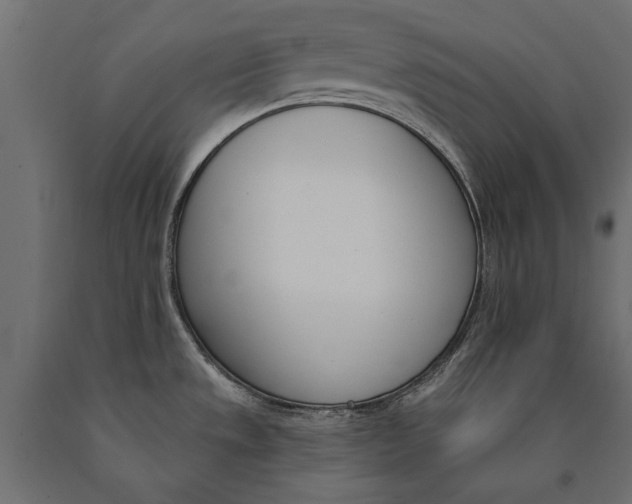 X0000090421533200708031054