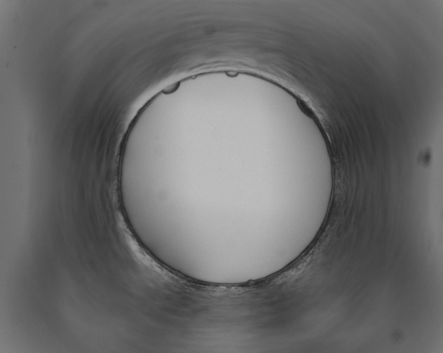 X0000090421534200708031054