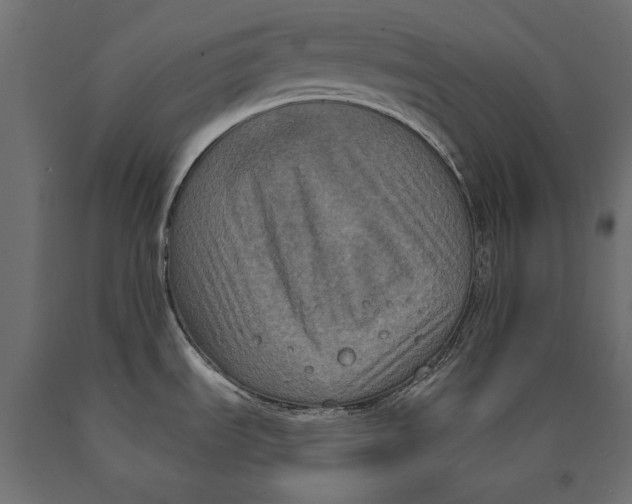 X0000090421535200708031054