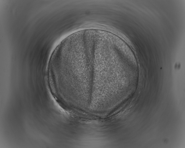 X0000090421536200708031054