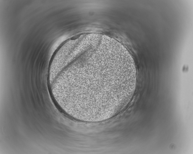 X0000090420003200708101953