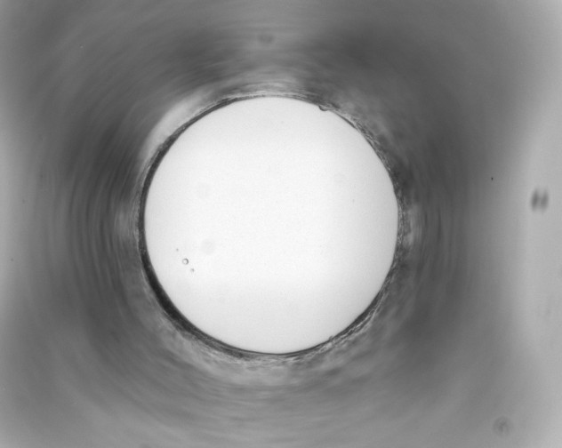 X0000090420004200708101953