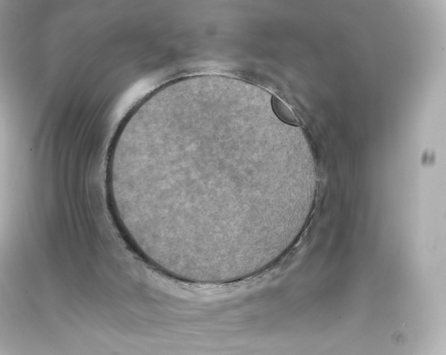 X0000090420006200708101953