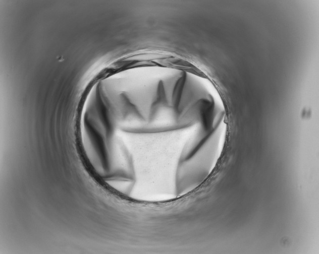 X0000090420007200708101953