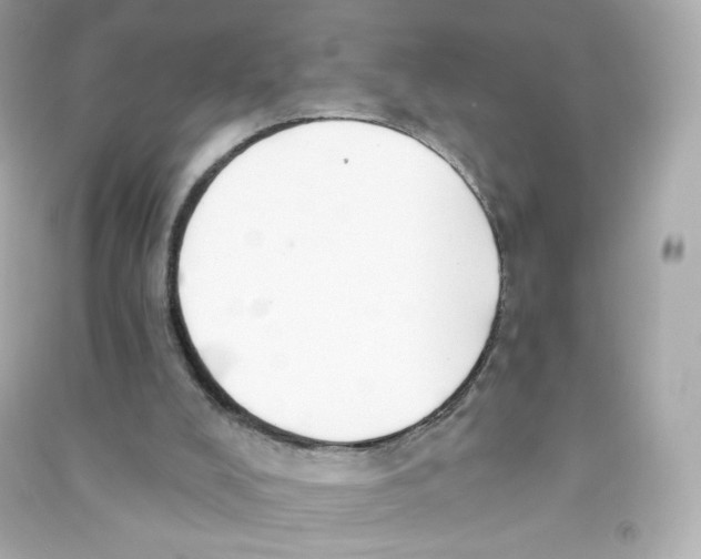 X0000090420008200708101953