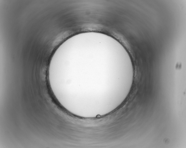 X0000090420010200708101953