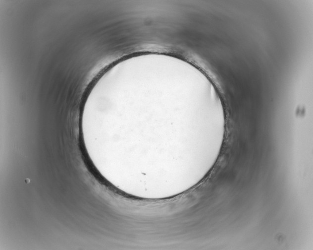 X0000090420011200708101953