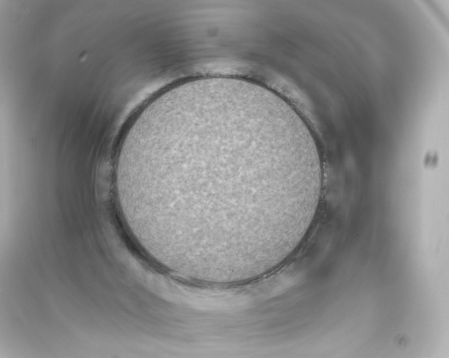 X0000090420012200708101953