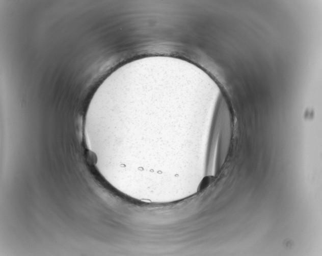 X0000090420013200708101953
