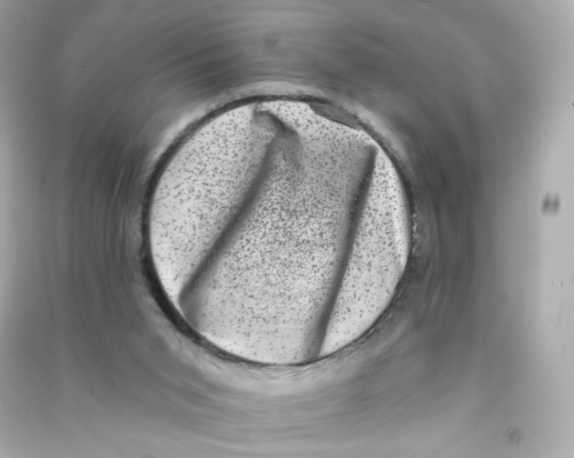 X0000090420015200708101953