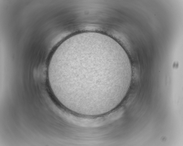 X0000090420016200708101953