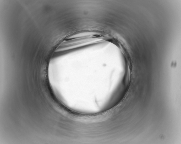 X0000090420017200708101953