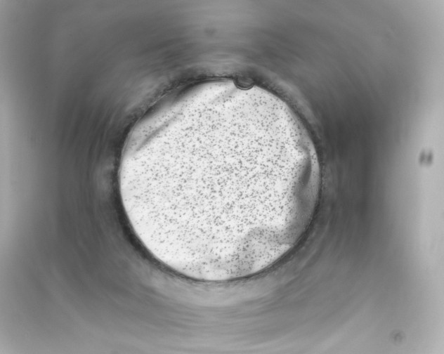 X0000090420018200708101953