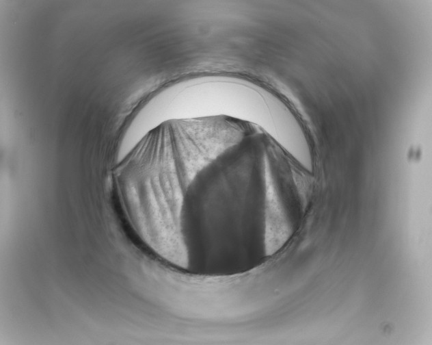 X0000090420019200708101953