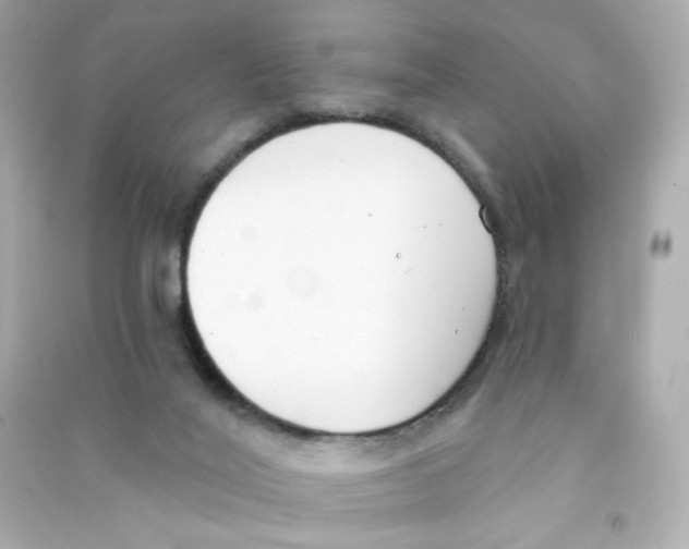 X0000090420020200708101953