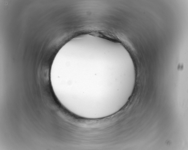 X0000090420021200708101953