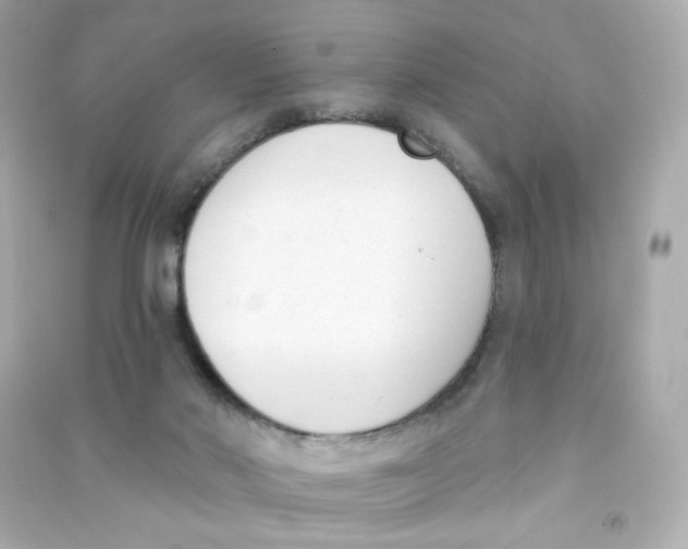 X0000090420022200708101953