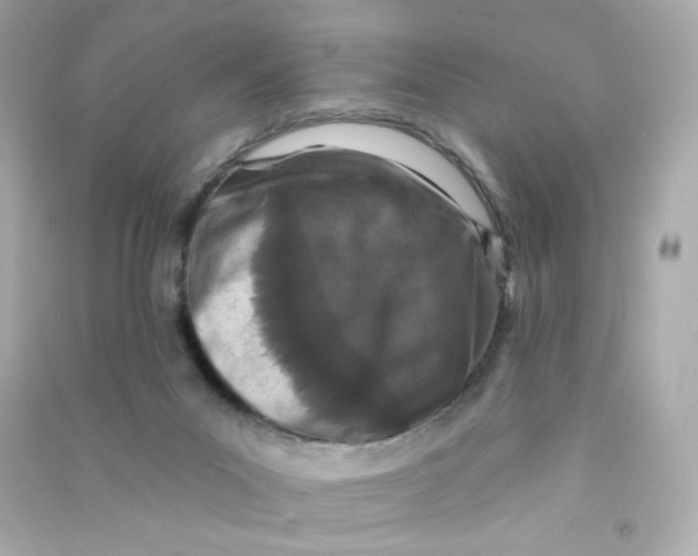 X0000090420023200708101953