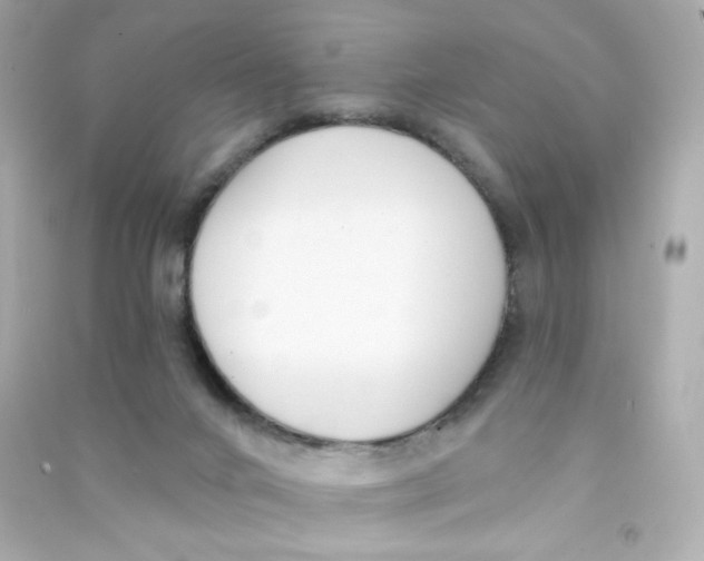 X0000090420024200708101953