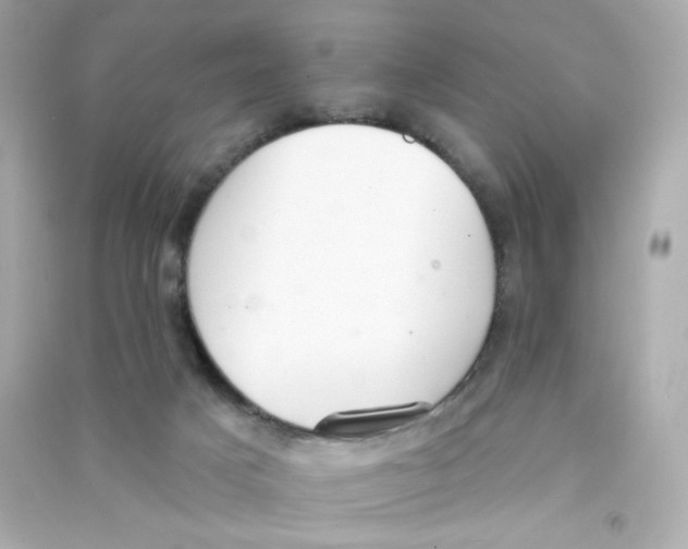 X0000090420025200708101953